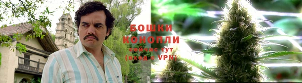 стафф Осинники