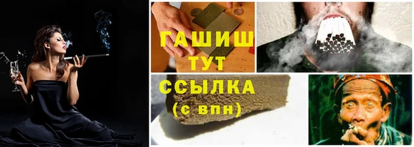стафф Осинники