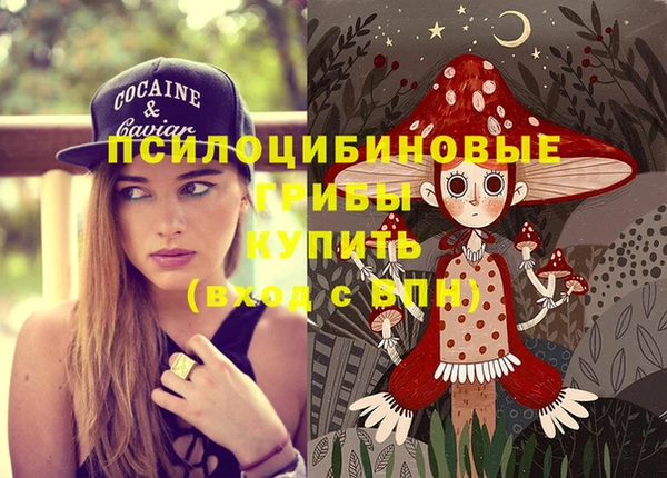 стаф Осташков
