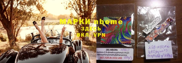 стафф Осинники