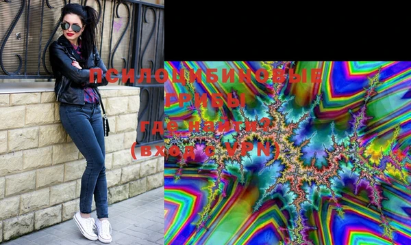 стафф Осинники