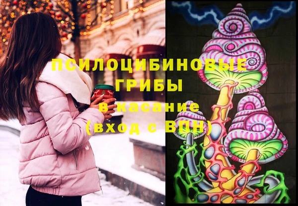 стафф Осинники