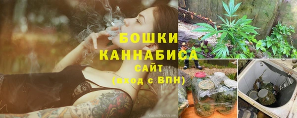 стаф Осташков