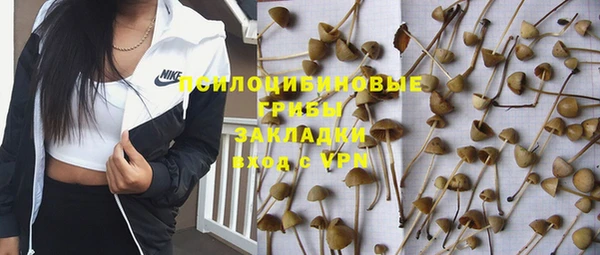 стафф Осинники