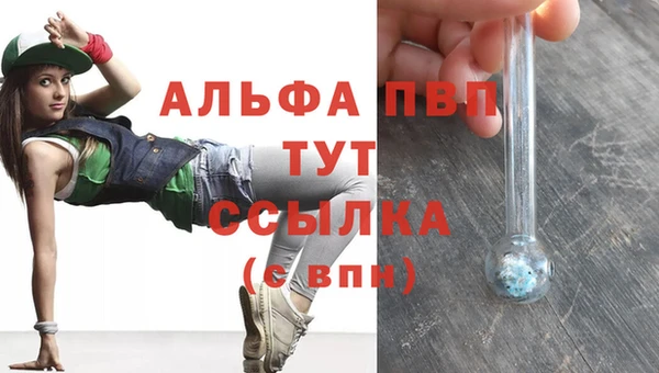 стаф Осташков