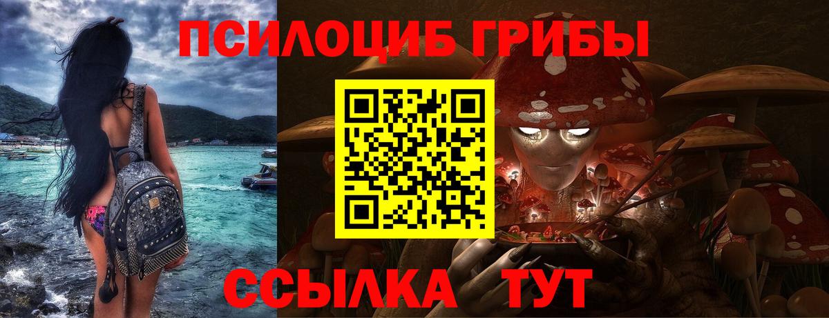 Галлюциногенные грибы мухоморы Североморск